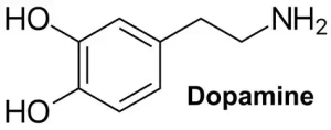 OIP (7)